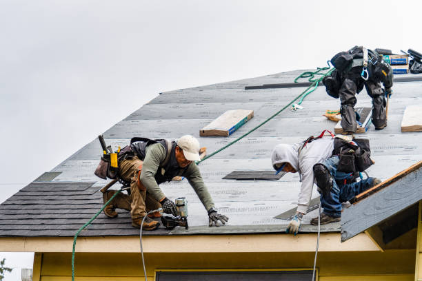 Professional Gutter Installation technician working in Blencoe, IA